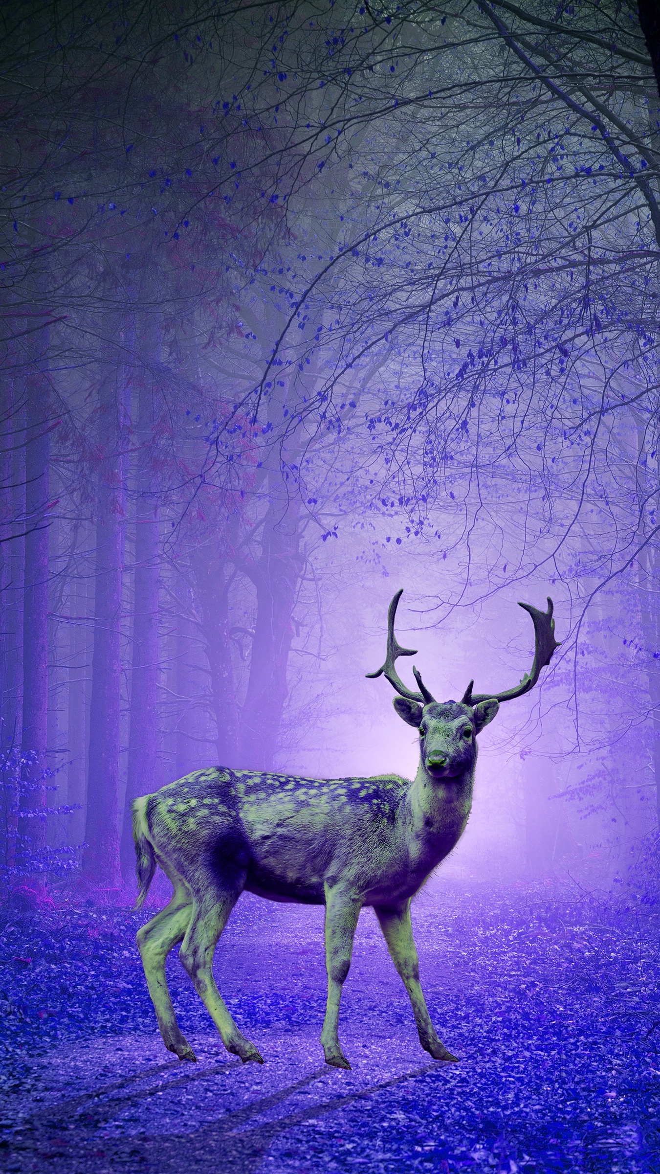 Wallpaper Deer, Forest, Mystical, Purple, Photoshop - Скачать Обои На Планшет - HD Wallpaper 