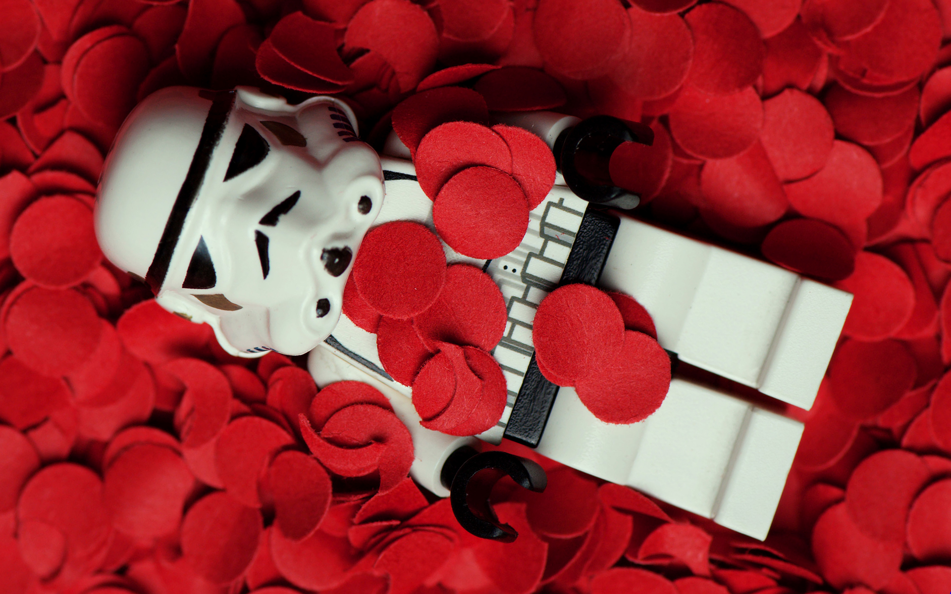 Wallpaper - Star Wars American Beauty - HD Wallpaper 