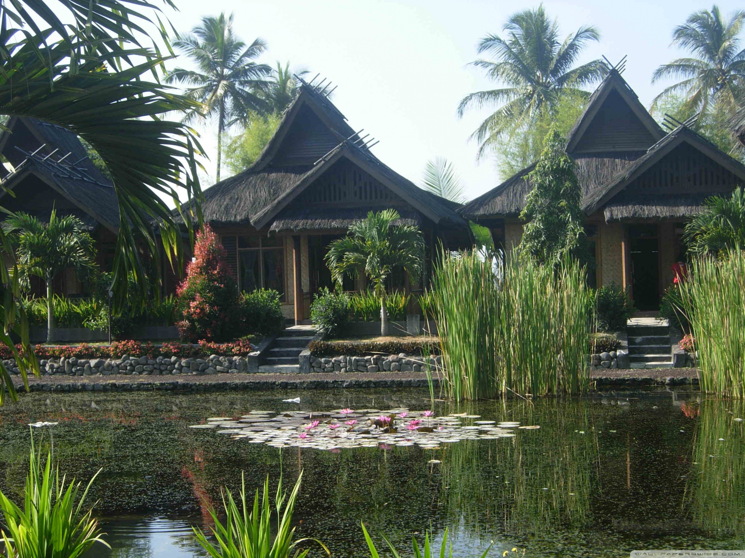 Mobile Phone - HD Wallpaper 