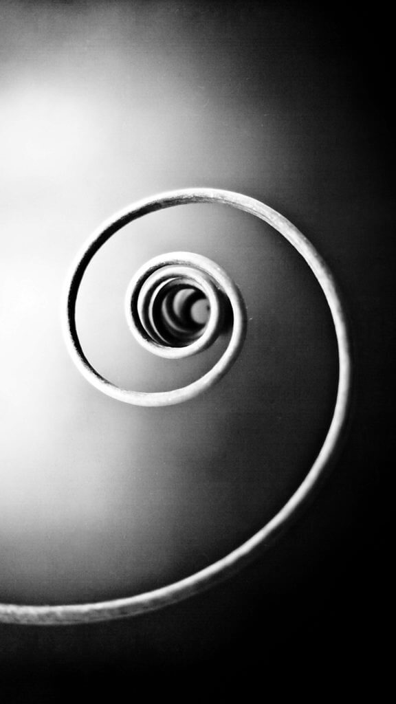 Minimal Iphone Wallpaper Black And White Spiral - Garden Roses - HD Wallpaper 