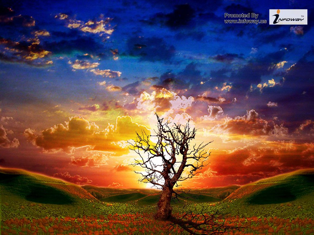 Nature Moving Animated Background - HD Wallpaper 