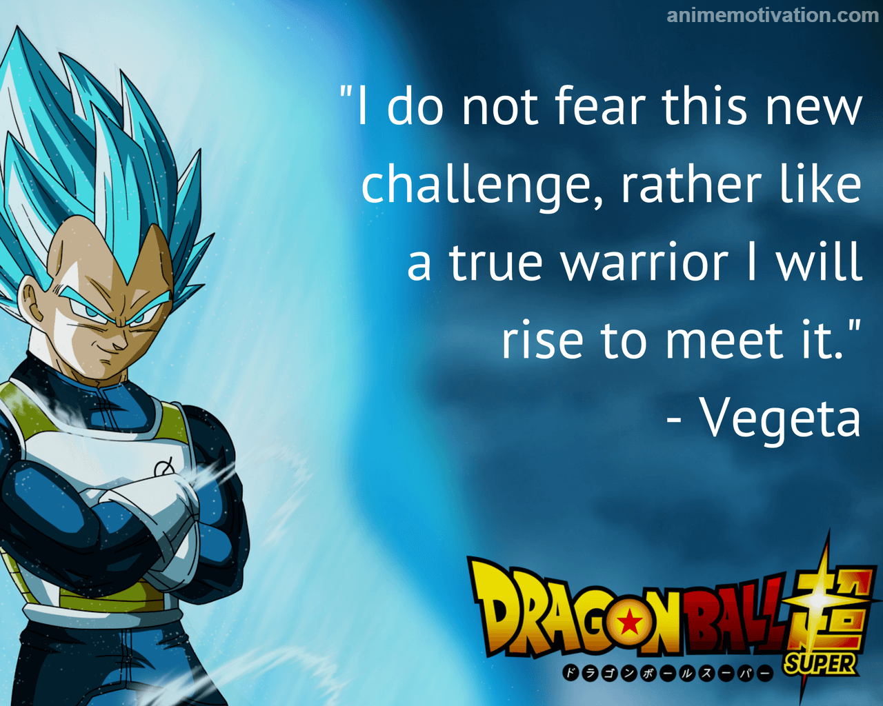 Inspirational Anime Wallpapers - Dragon Ball Super Vegeta Quotes - HD Wallpaper 