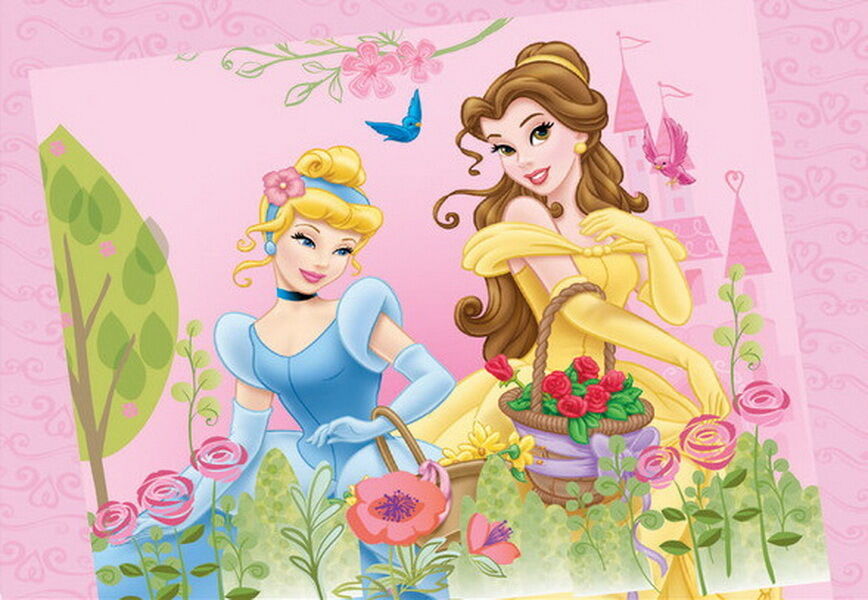 3d Disney Princess Wallpaper Bell Cinderella Wall Paper - Belle Beauty And The Beast Background - HD Wallpaper 