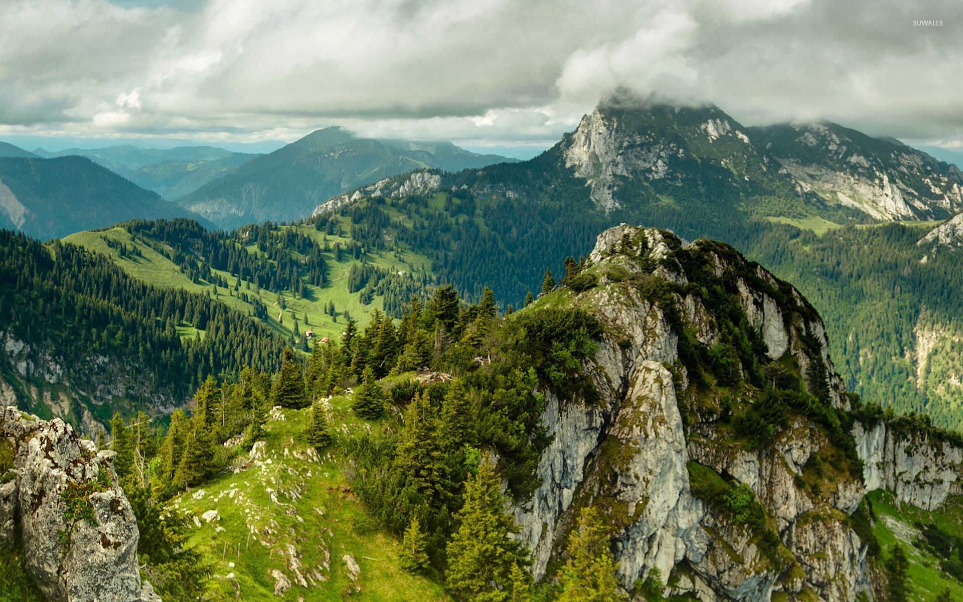 Top Nature Wallpapers - HD Wallpaper 