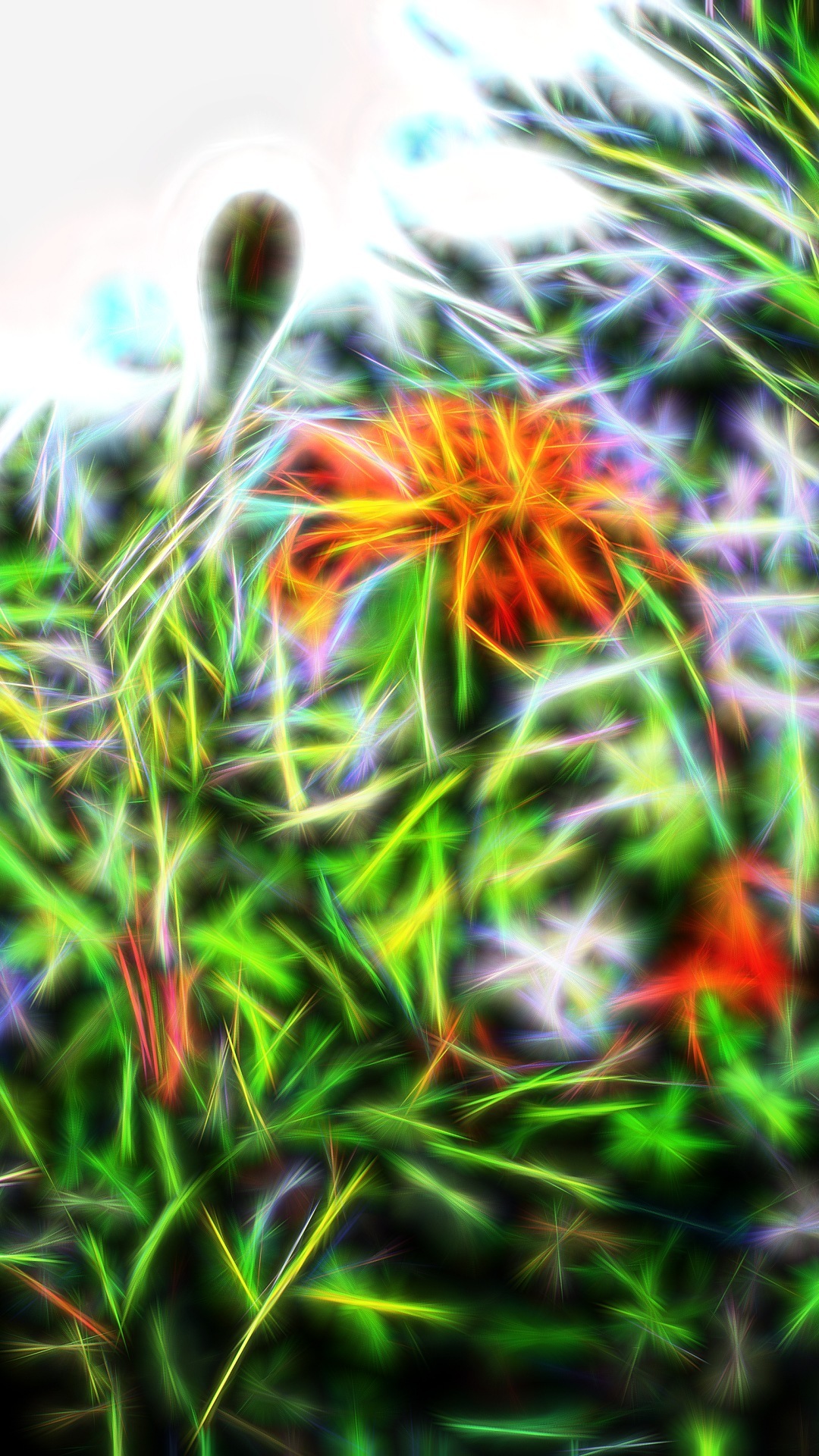 Cantik Gambar Kertas Dinding Percuma - Wallpaper - HD Wallpaper 