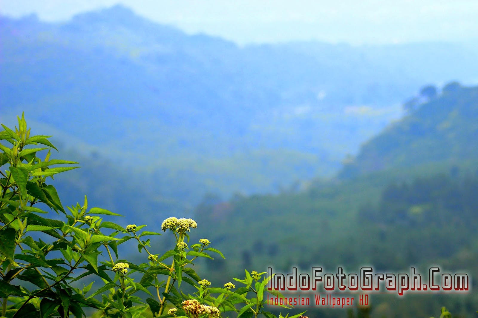 Wallpaper Pemandangan Alam Dan Pedesaan - Hill Station - 1600x1065