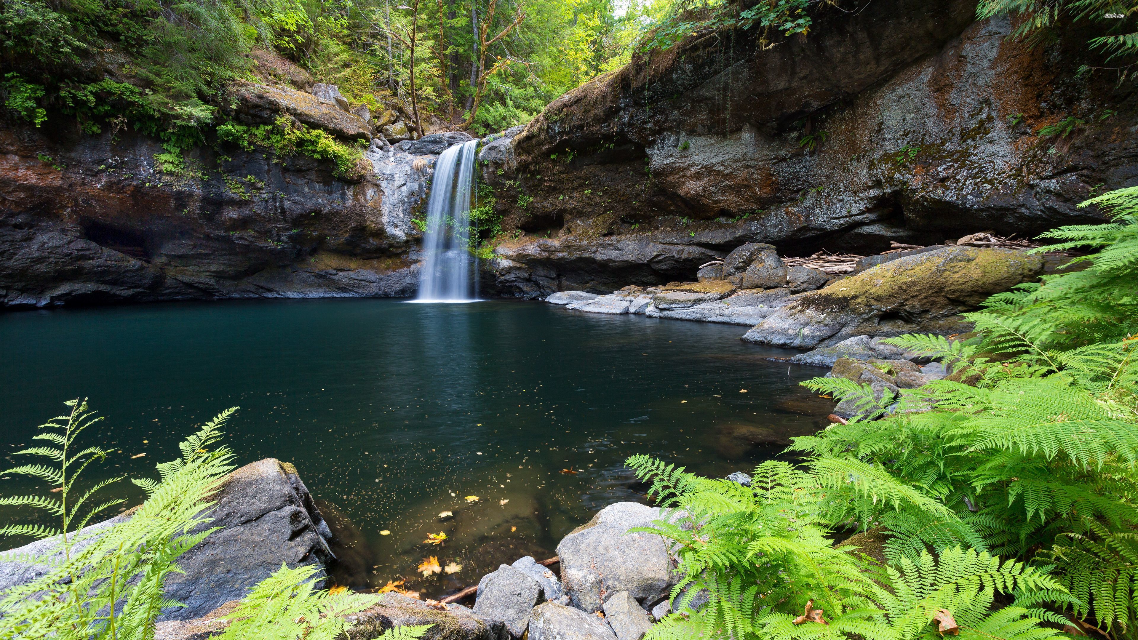 Beautiful Images Wallpapers Nature - HD Wallpaper 