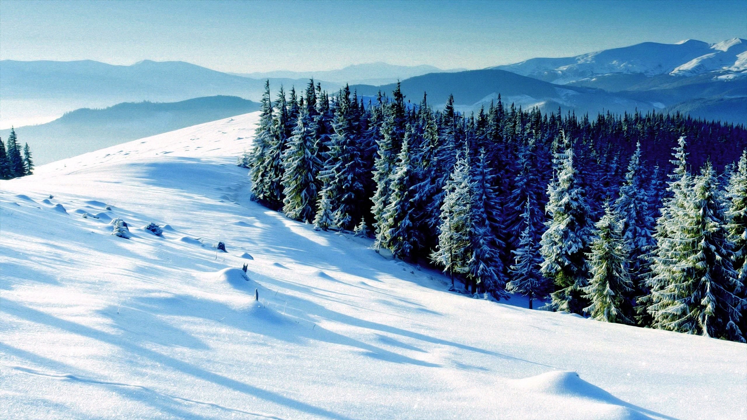 High Definition,winter, Landscape, Nature, Desktop - Winter Background Full  Screenhd - 2560x1440 Wallpaper 