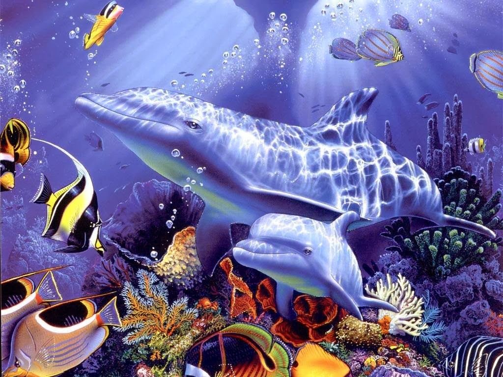Dolphin Paintings - HD Wallpaper 