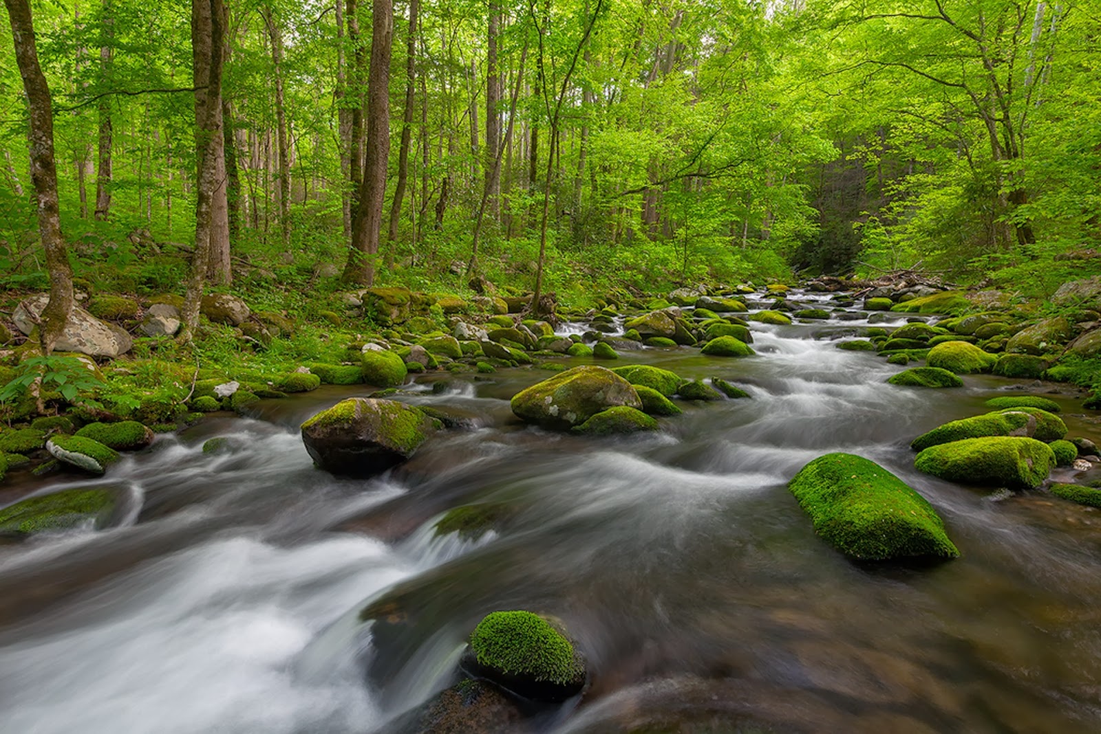 Widescreen Full Hd Green Nature Waterfall Images For - Hd Natural Wallpapers For Laptop - HD Wallpaper 