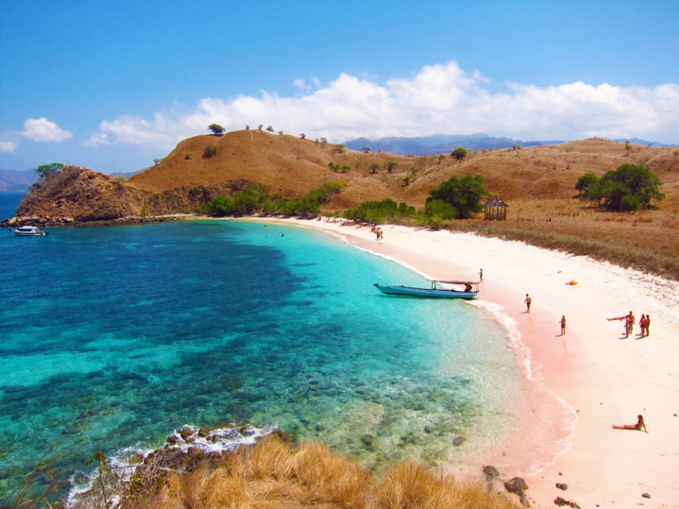 Pink Beach Indonesia Komodo - HD Wallpaper 