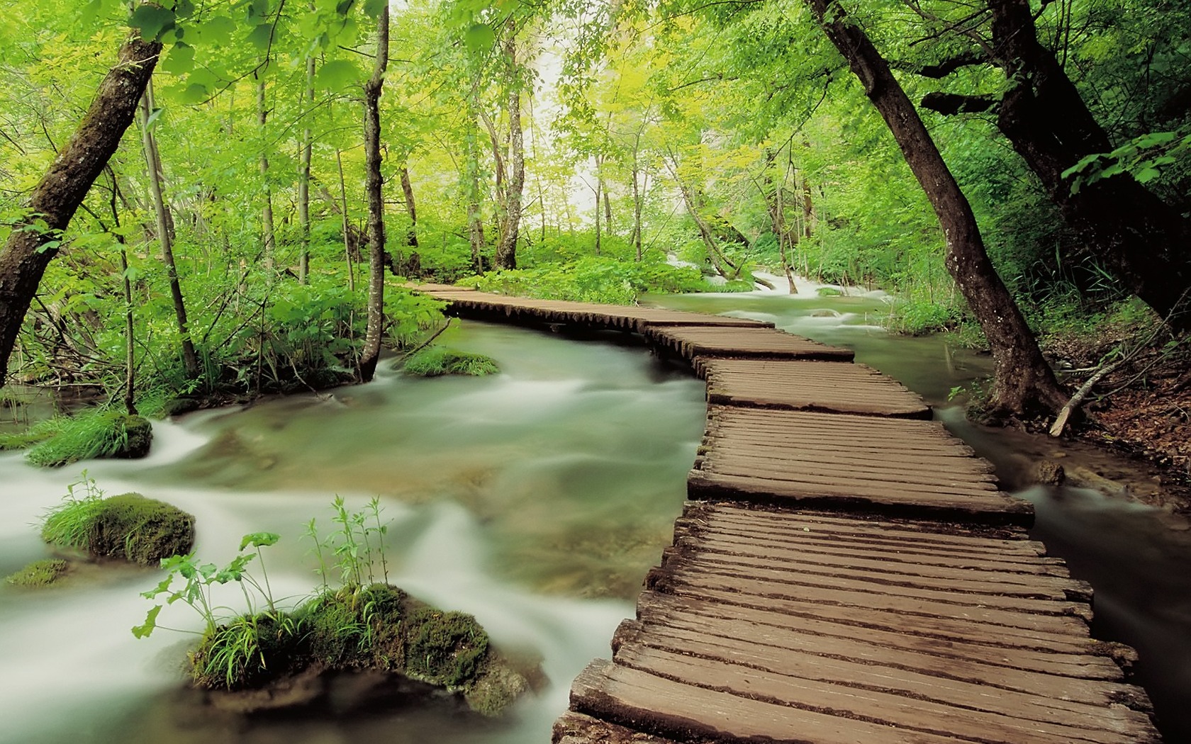 National Park In World - HD Wallpaper 