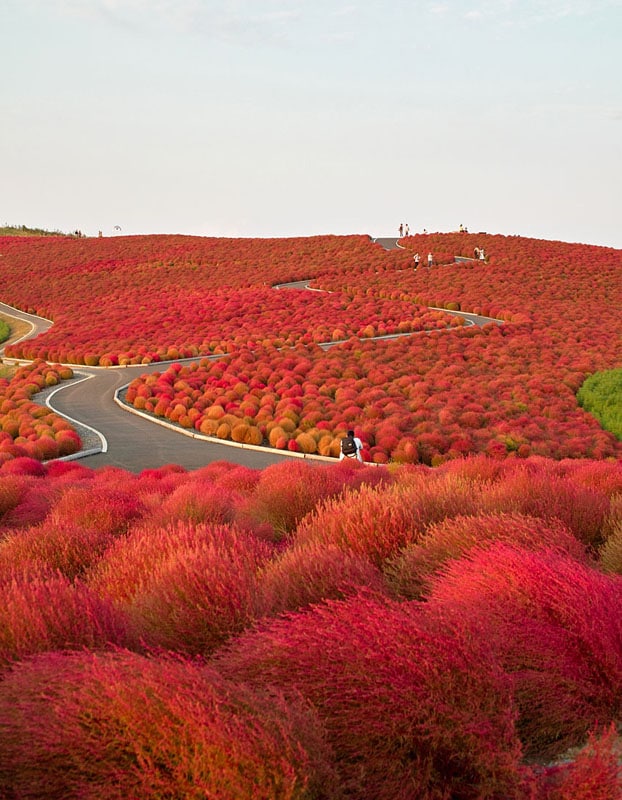 Tempat Terindah Di Dunia, Tempat Paling Indah Di Jepang, - China Beautiful Places For Honeymoon - HD Wallpaper 