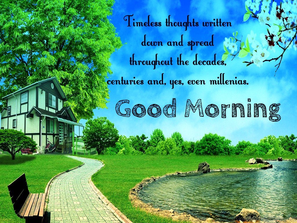 Timeless Thoughts Written Down And Spread Throughout - Natural Good Morning Latest - HD Wallpaper 