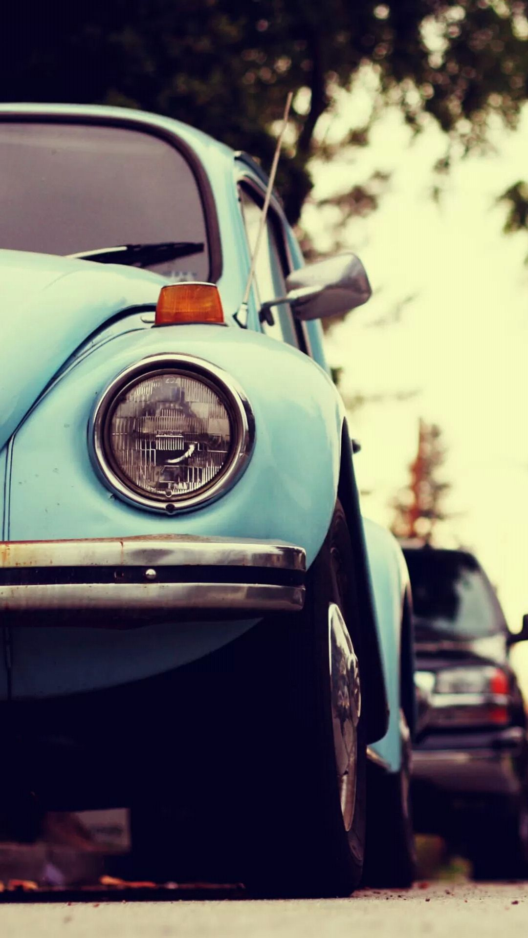 Volkswagen Beetle - HD Wallpaper 