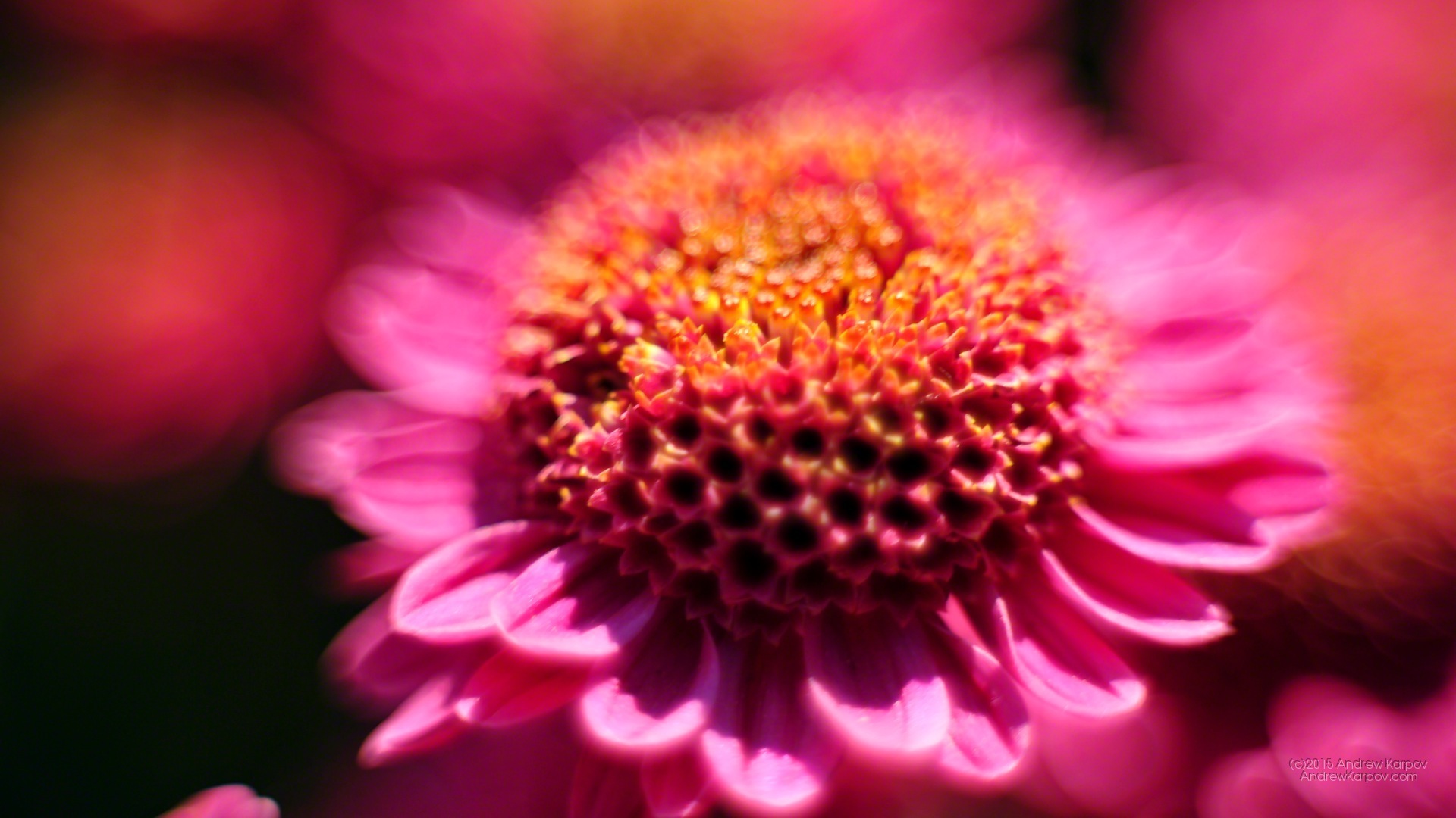 Iphone 6s Plus - Wallpaper - HD Wallpaper 