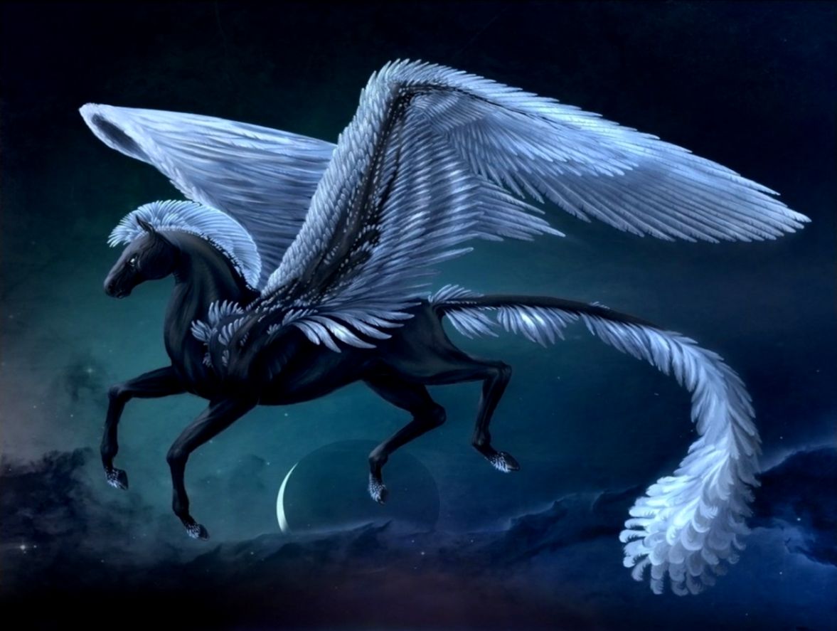 Pegasus Wallpaper And Background Image Id316277 - Fantasy Pegasus - HD Wallpaper 
