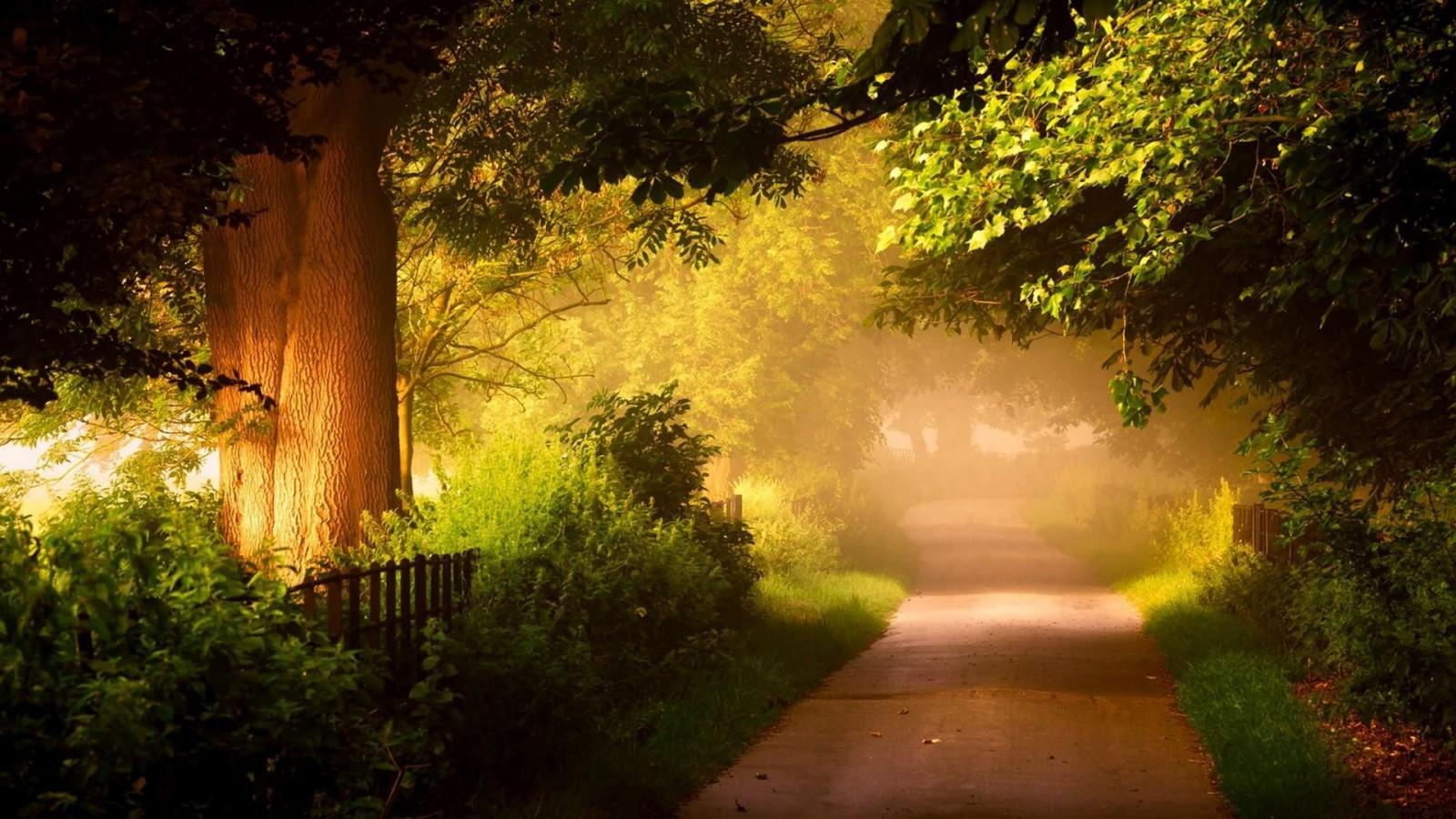 Top Best Nature Background - HD Wallpaper 