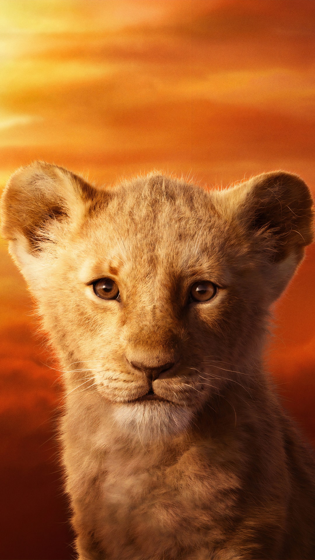 Simba The Lion King - Lion King 2019 Phone - HD Wallpaper 