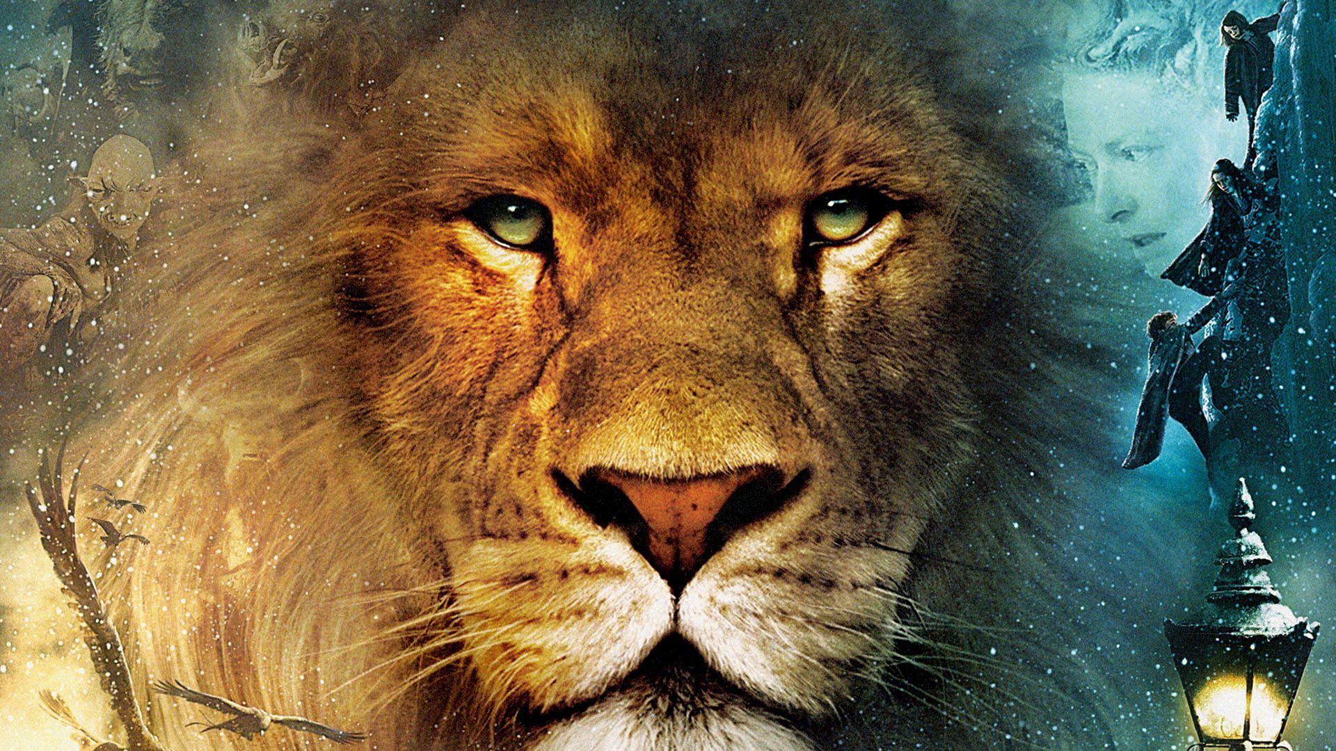 Aslan Narnia - HD Wallpaper 