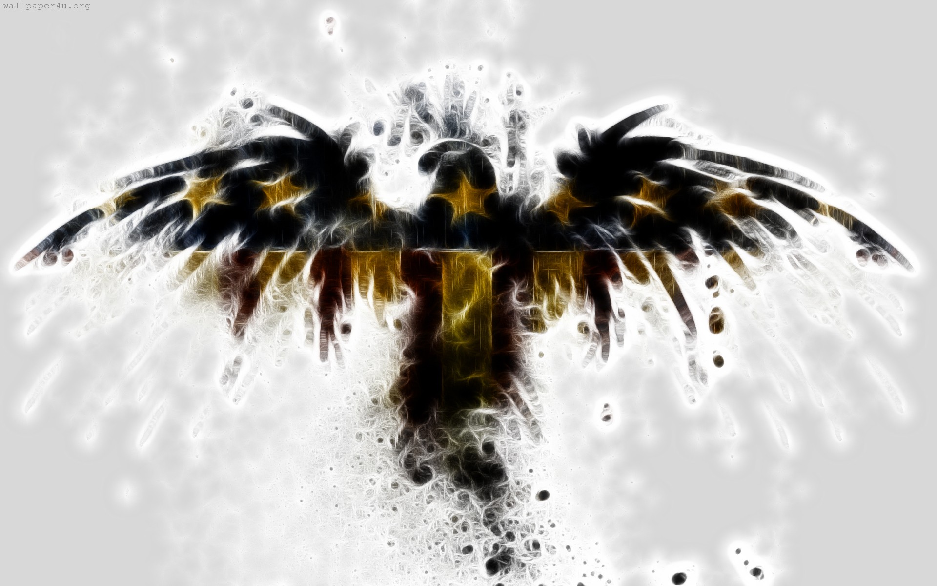 Black Eagle Wallpaper 4k - 1920x1200 Wallpaper - teahub.io