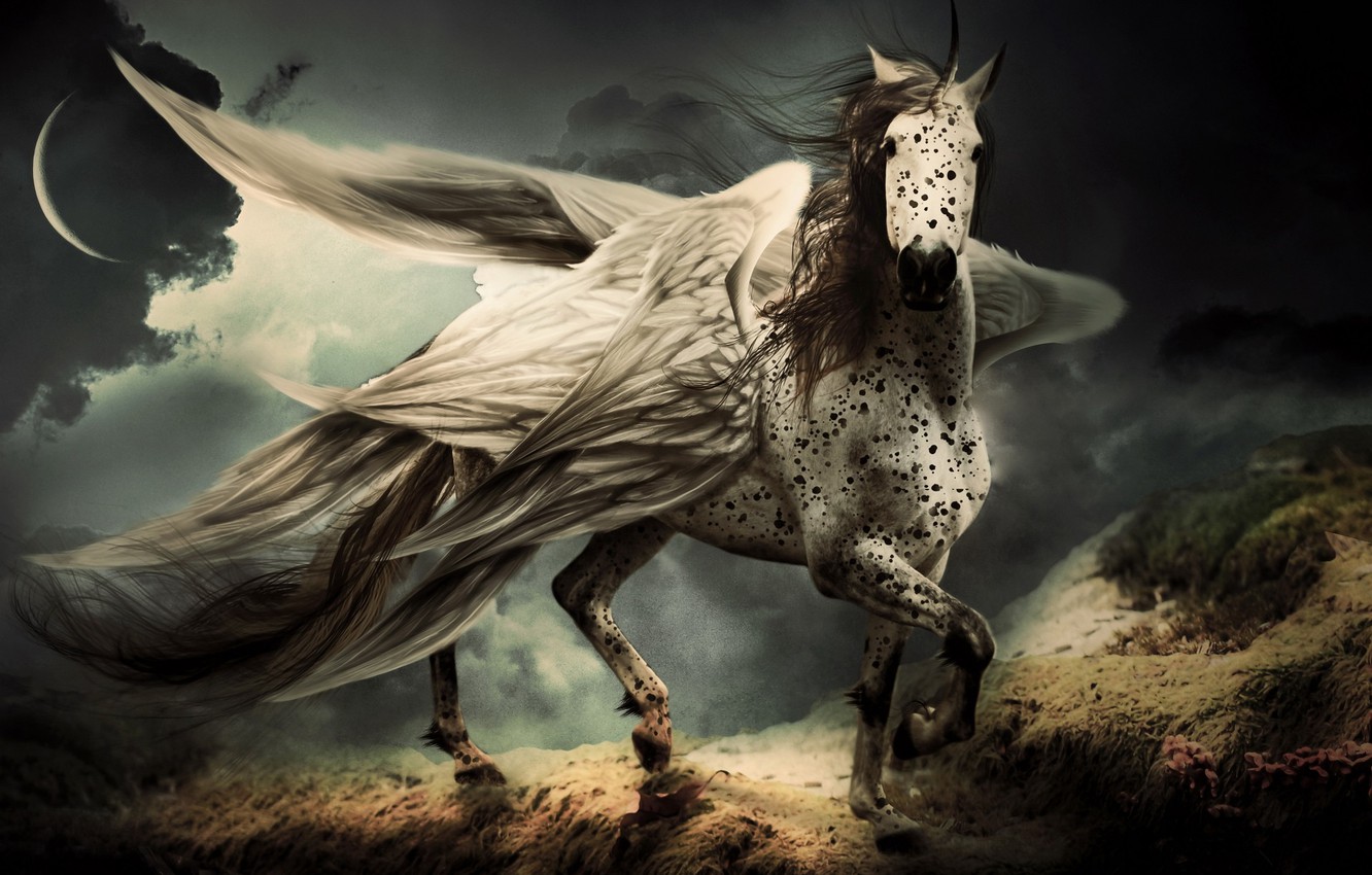 Photo Wallpaper Horse, Horse, Wings, Pegasus - Картинки На Рабочий Стол С Пегасами - HD Wallpaper 