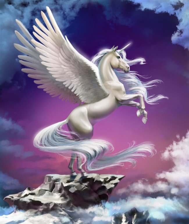 Unicorn Pegasus - HD Wallpaper 