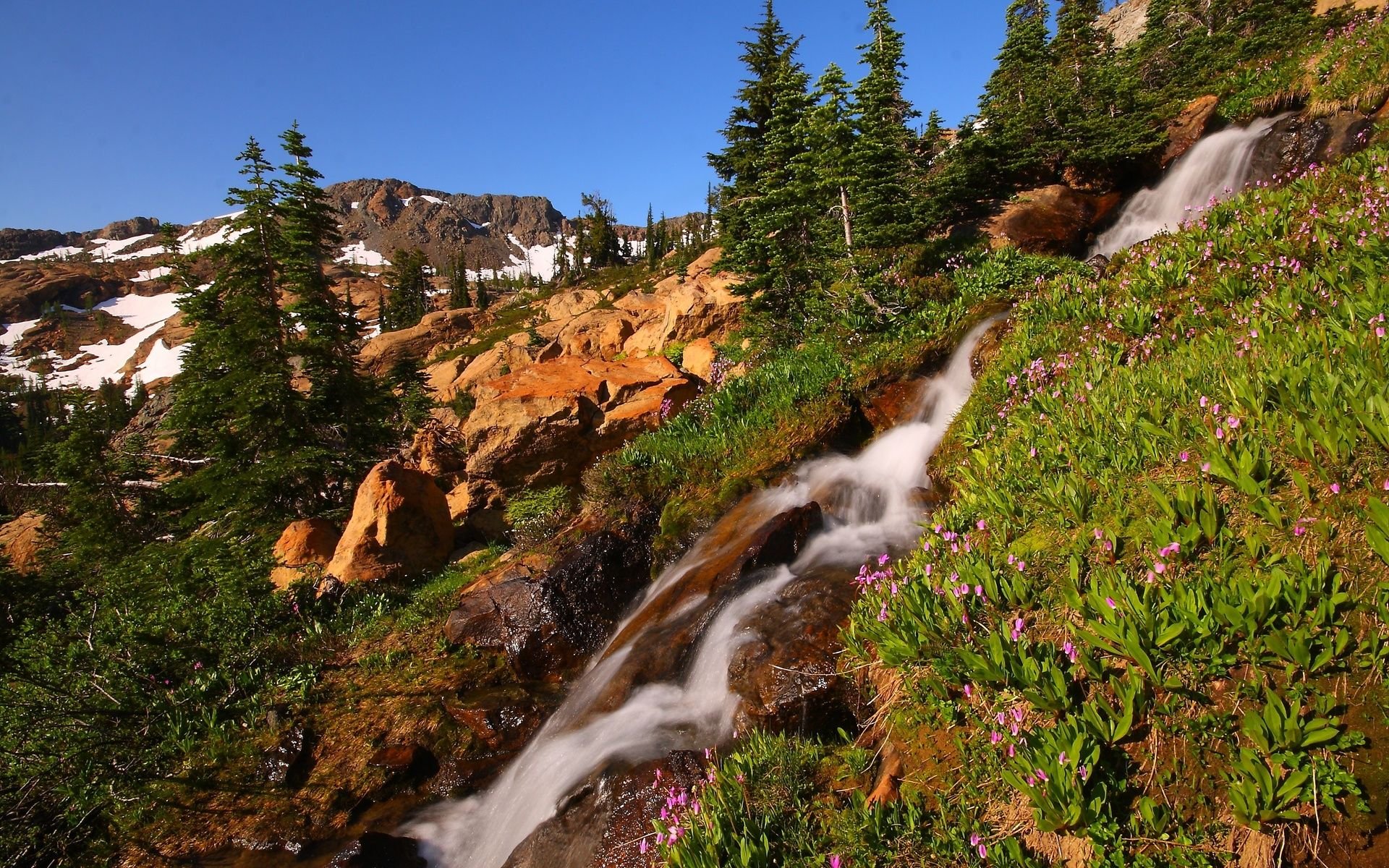 Kertas Dinding Rolled Dolar 11 1920×1200 Ambil Wallpaper - Mountain Waterfall Flower - HD Wallpaper 