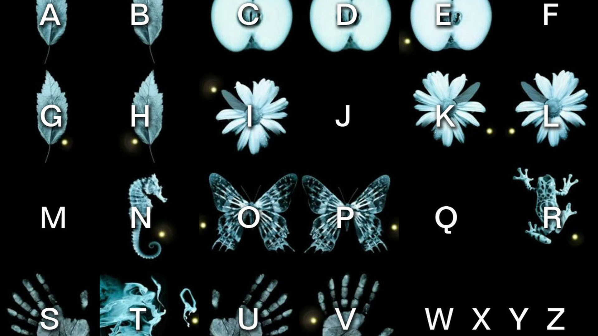 1920x1080, Fringe Wallpapers - Fringe Tv Series - HD Wallpaper 