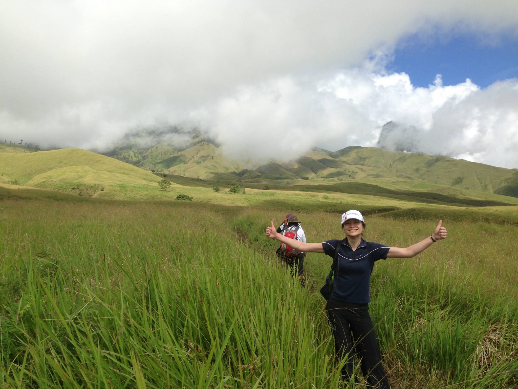 Grassland - HD Wallpaper 