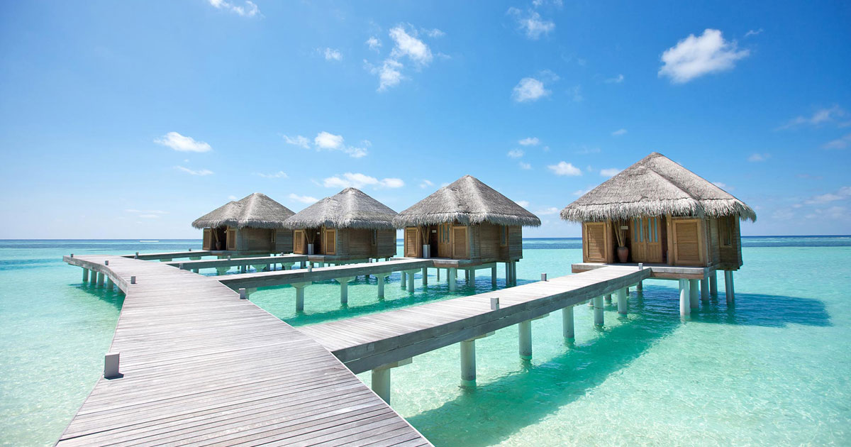 Maldives-vocket - Maldives Hotels With Swimming Pool - HD Wallpaper 
