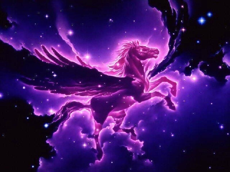 ★ Pegasus ☆ - Magical Pegasus - HD Wallpaper 