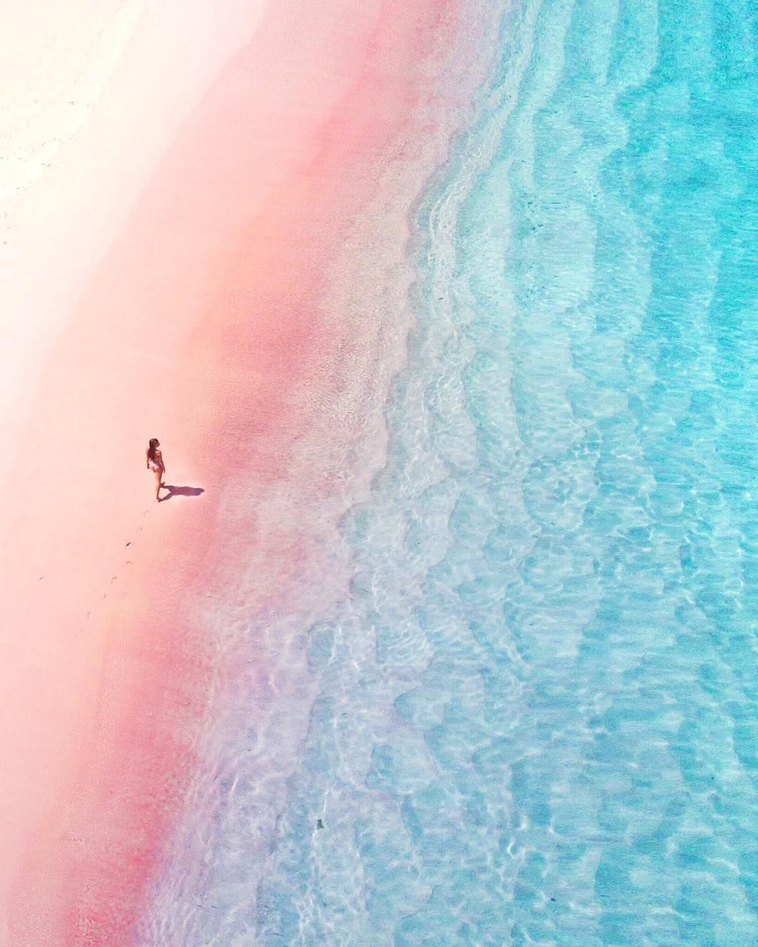 巴哈马🇧🇸闻名全球的粉色沙滩（Pink Sands Beach）位于加勒比|加勒比|巴哈马|哈勃_新浪新闻