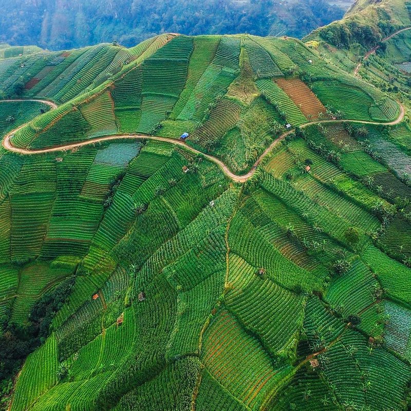 Beautiful Java Indonesia - HD Wallpaper 