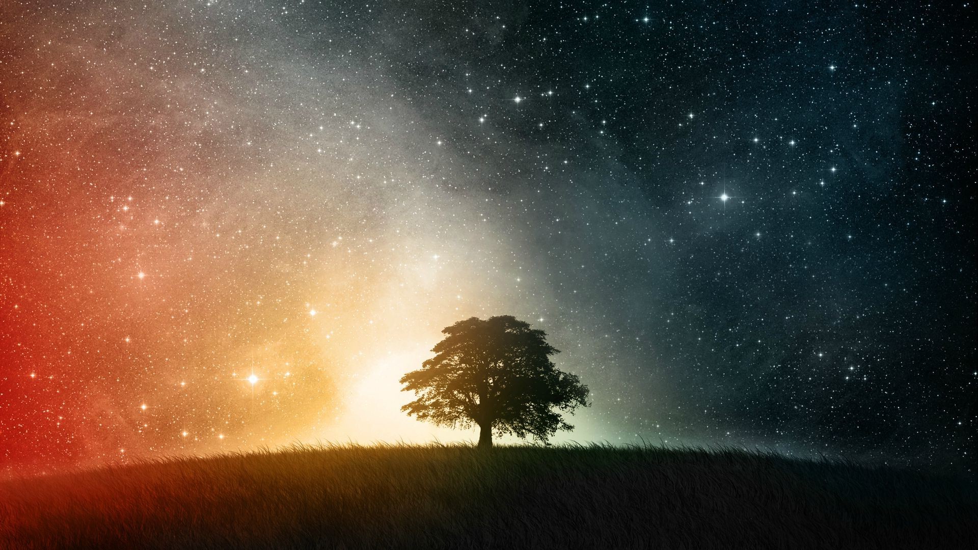 Tree With Space Background - HD Wallpaper 