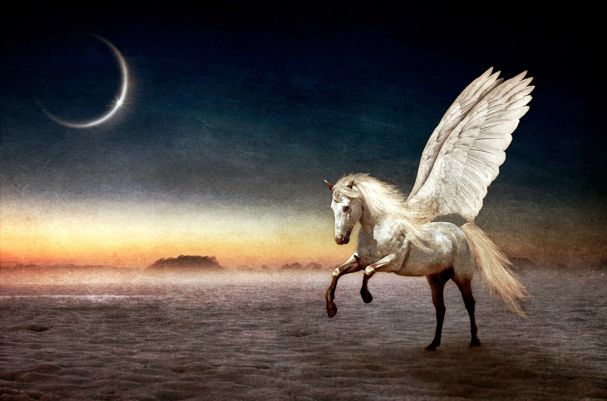 Shab E Meraj Horse - HD Wallpaper 