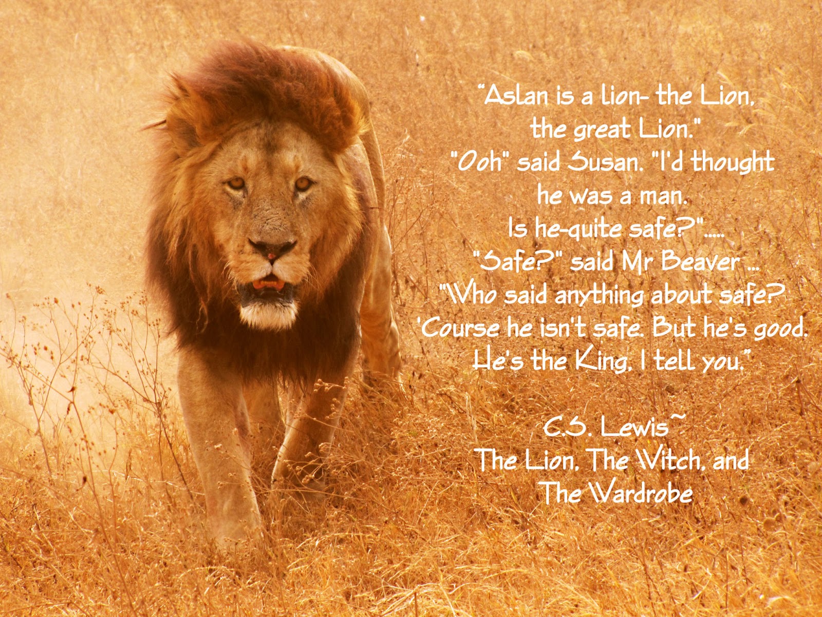 Image Of Aslan Narnia - Lion Of Judah Fighting Our Battles - HD Wallpaper 