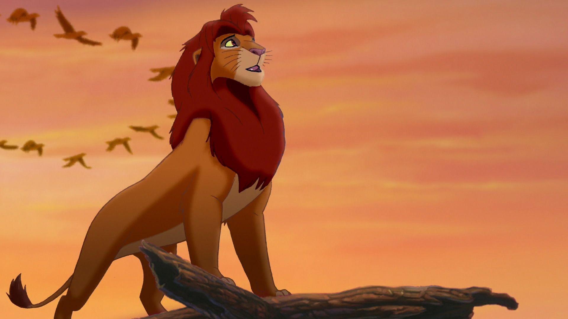 Simba - Simba End Of Lion King - HD Wallpaper 