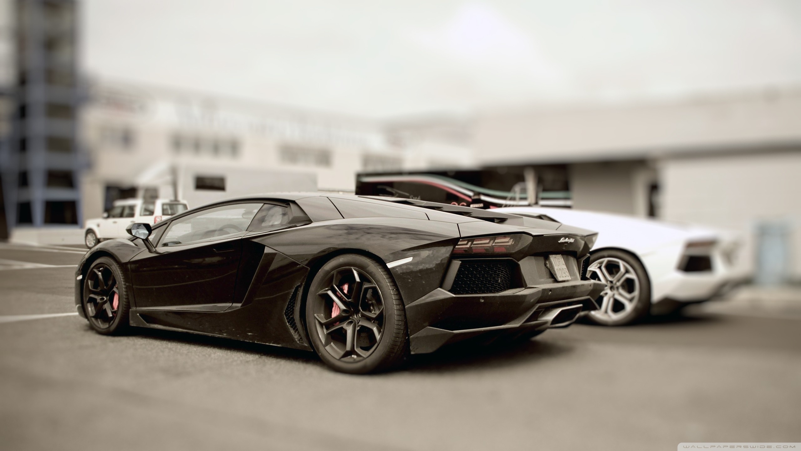 Lamborghini Aventador Wallpaper Hd - Lamborghini Aventador Full Hd - HD Wallpaper 