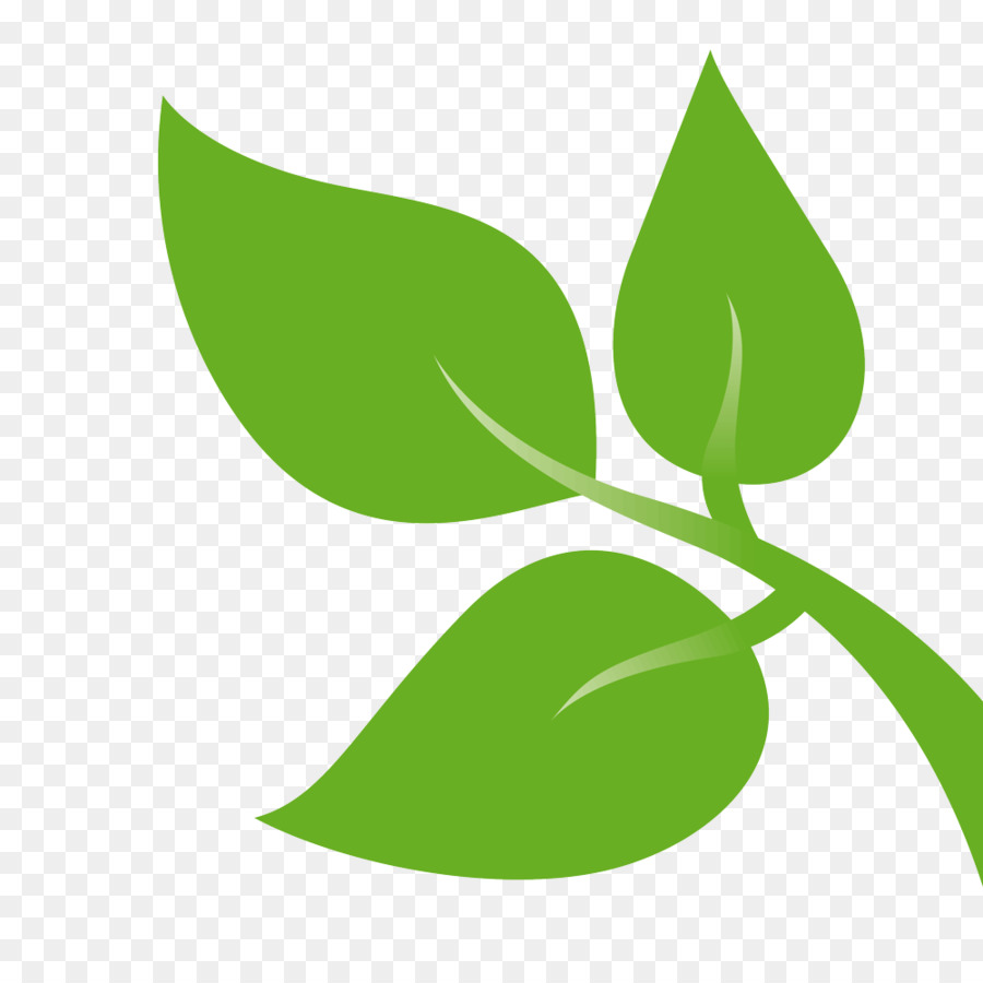 Daun, Desktop Wallpaper, Desain Yang Indah Gambar Png - Green Leaf Png Design - HD Wallpaper 