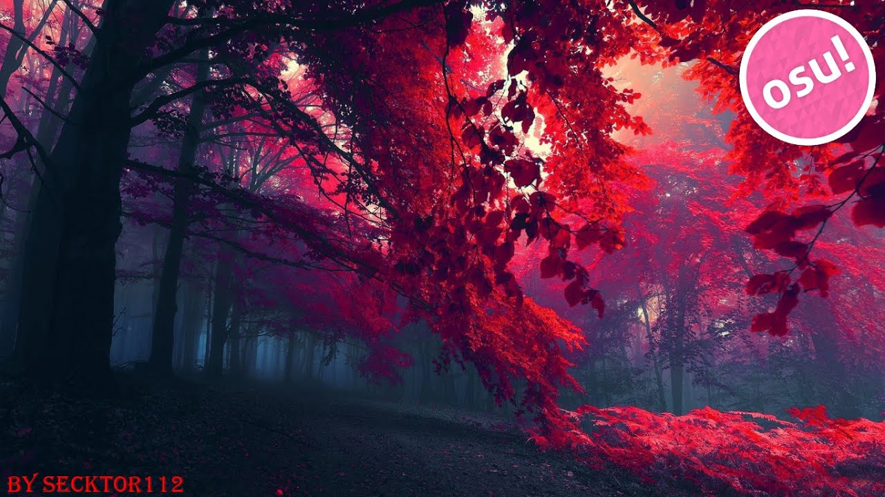 Red Forest At Night - HD Wallpaper 