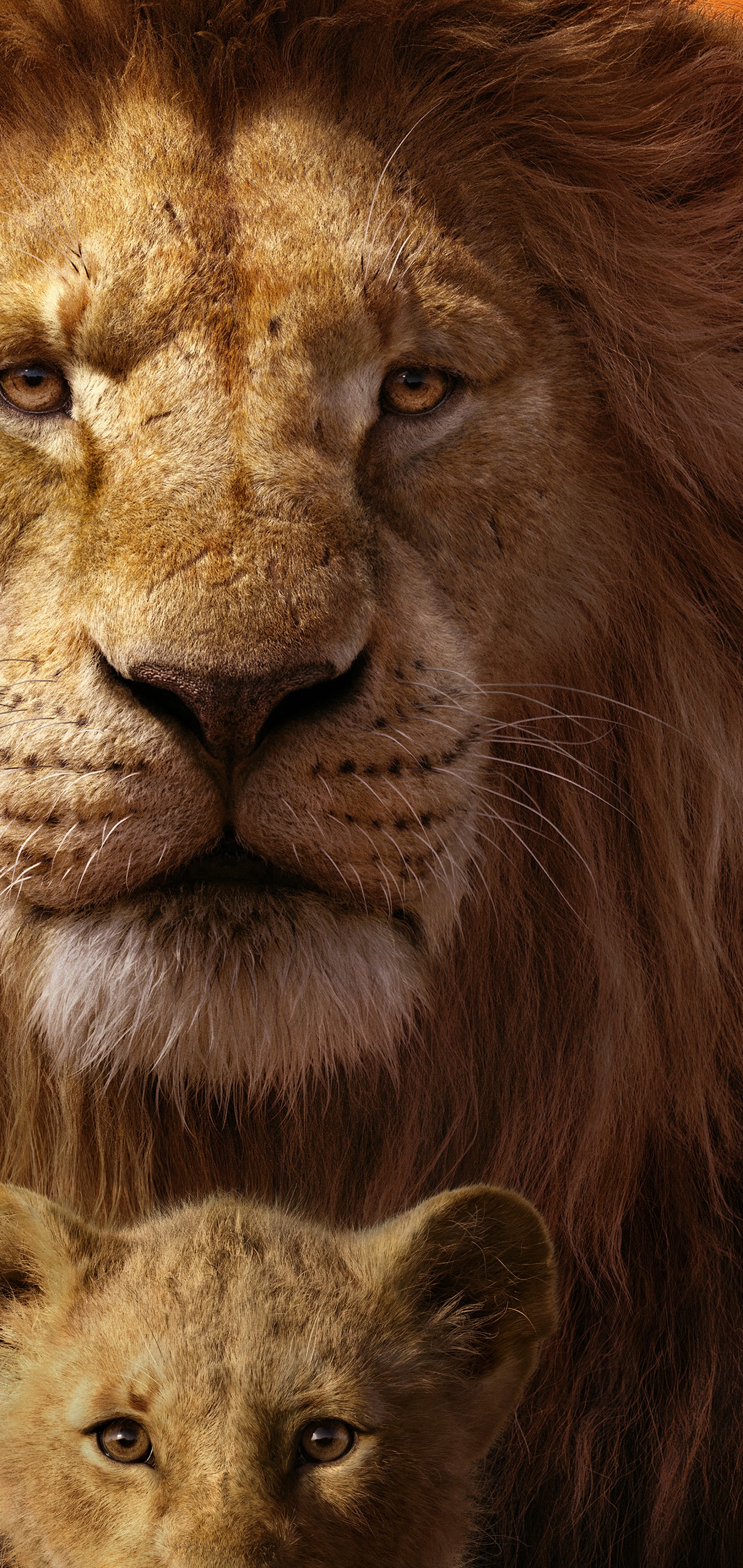 The Lion King, 2019, Mufasa, Simba, 8k, - Lion King 2019 Simba And Mufasa - HD Wallpaper 