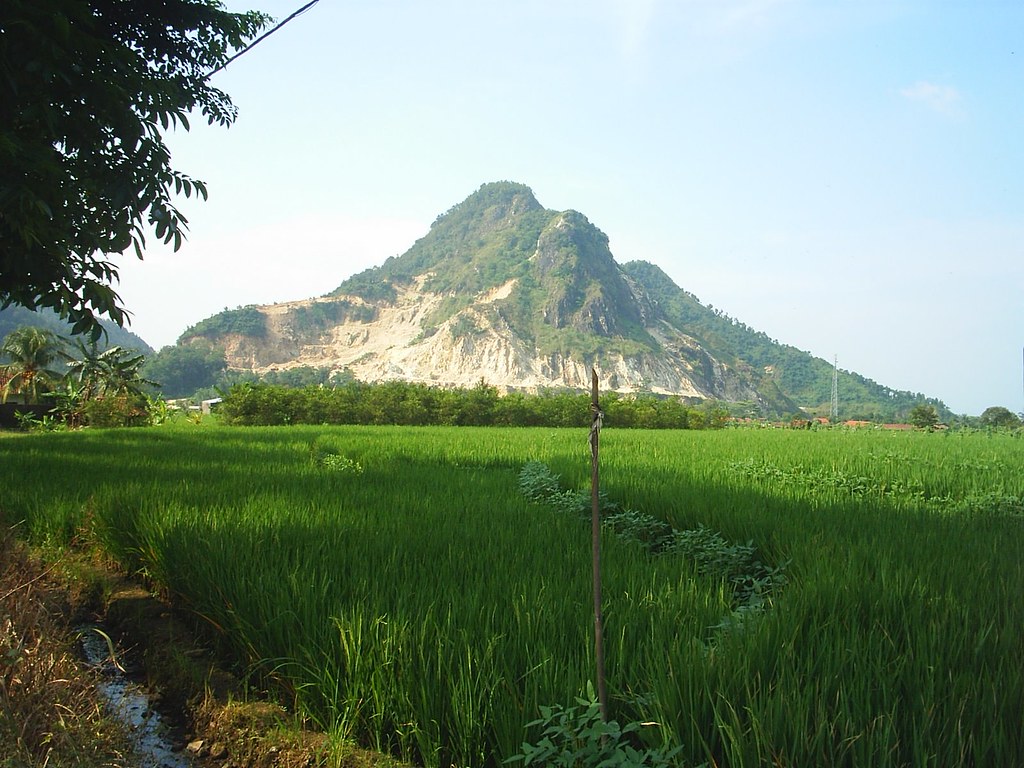 Pemandangan Sawah Dan Gunung - HD Wallpaper 