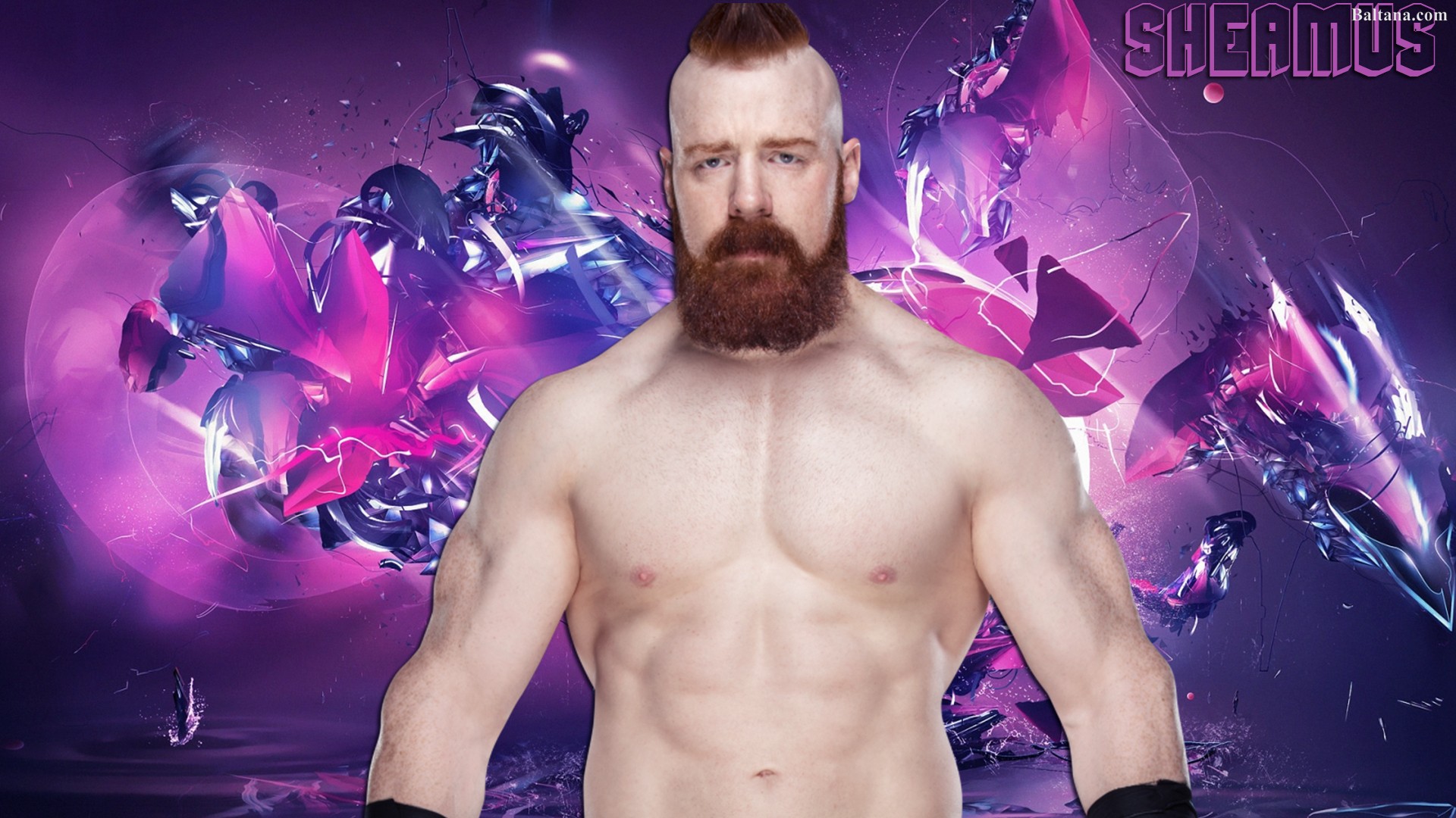 Sheamus 2018 Wallpaper - Pink Dragon - HD Wallpaper 