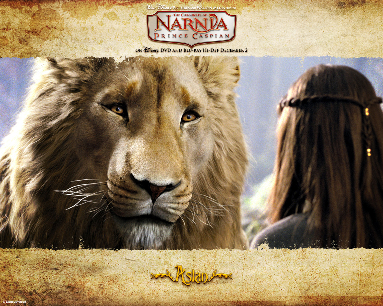 Aslan - Aslan Images Chronicles Of Narnia - HD Wallpaper 