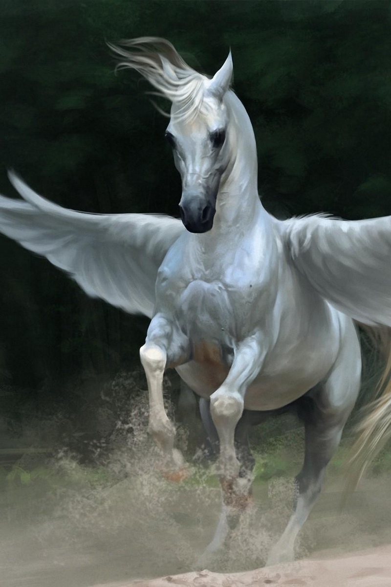 Wallpaper Pegasus, Horse, Wings - Pegasus Wallpaper Iphone - HD Wallpaper 