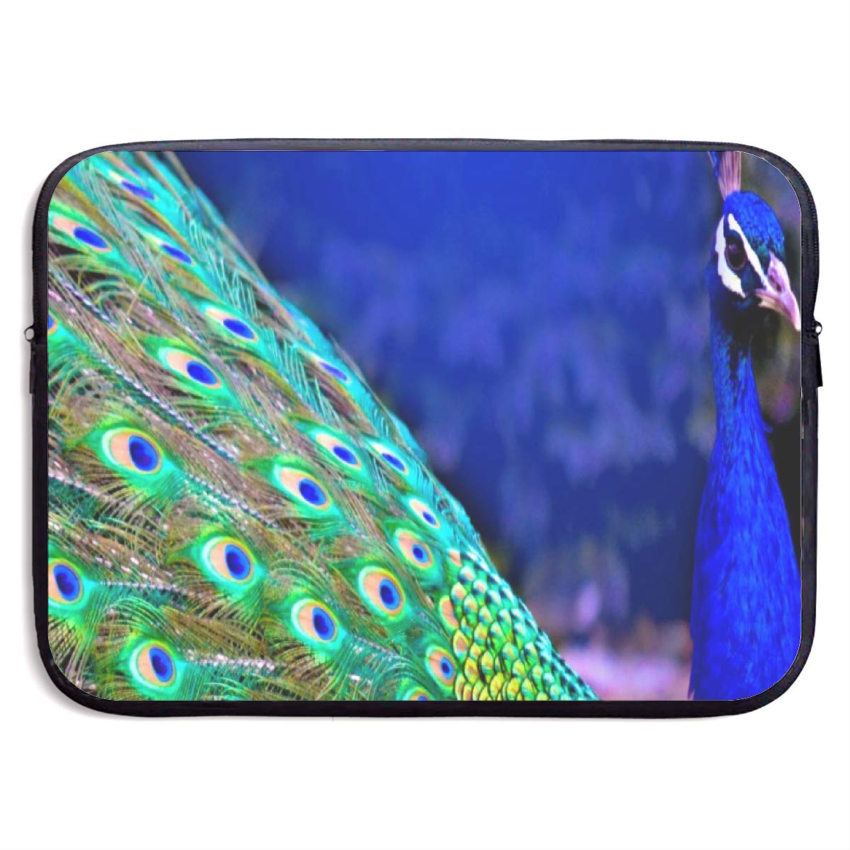 Pavão Animal De Poder - HD Wallpaper 