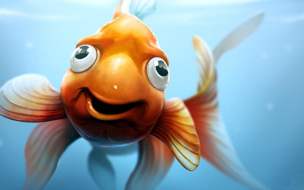 Funny Fish - HD Wallpaper 