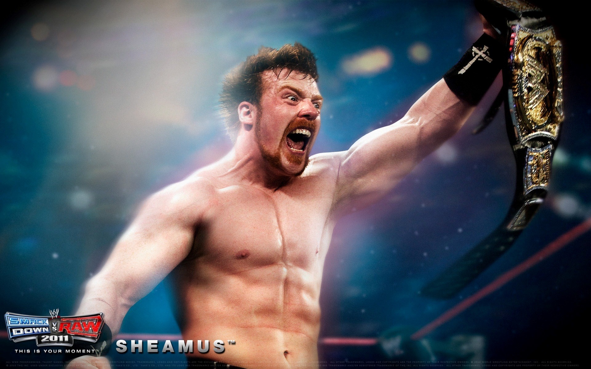 Wwe Sheamus With Belts - Edge Smackdown Vs Raw 2011 - HD Wallpaper 