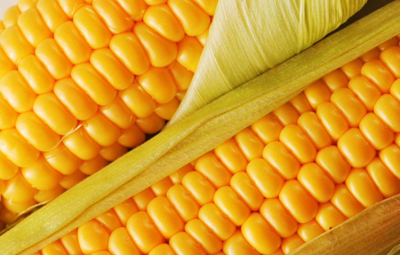 Photo Wallpaper Yellow, Green, Food, Corn, Food, Delicious, - Corn Backgrounds - HD Wallpaper 